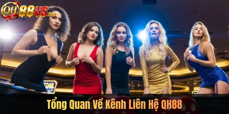 Tổng Quan Về Kênh Liên Hệ QH88